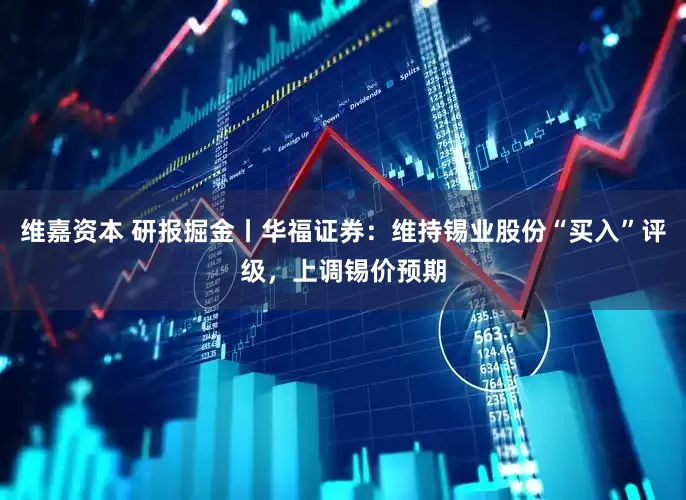维嘉资本 研报掘金丨华福证券：维持锡业股份“买入”评级，上调锡价预期