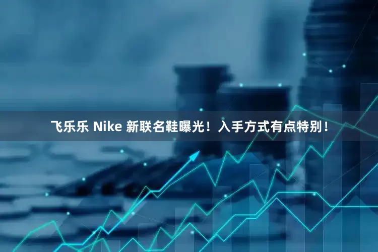 飞乐乐 Nike 新联名鞋曝光！入手方式有点特别！